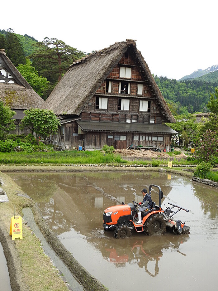 白川郷 代掻きを終えた鏡のような水田の水面に「逆さ合掌」風景 | お宿 すみれ荘 【公式】 世界遺産白川郷荻町合掌造り集落の側にある宿