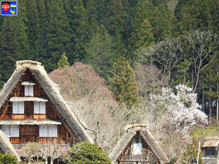 22年ゴールデンウィークは白川郷で決まり 人気の日程のご宿泊ご予約はお早めに お出かけ前にcheck 世界遺産 白川郷 早わかり旅行情報ブログ